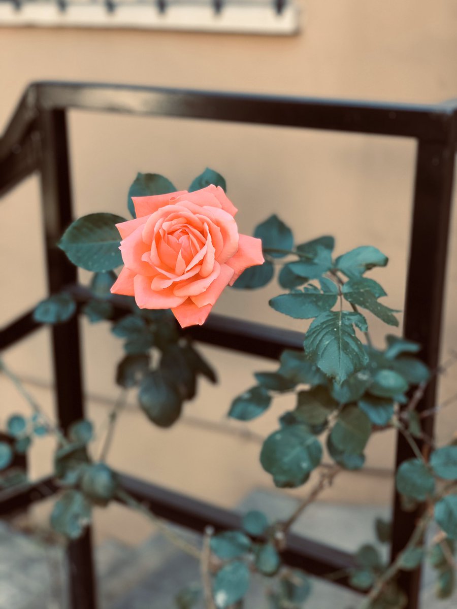 I've always loved Valentine's Day. It reminds us to stay romantic. Whether it be with ourselves, how we walk through life or in our relationships, it's important. A life without romance is no life at all. Happy Valentines Day 💙 #BagaLove