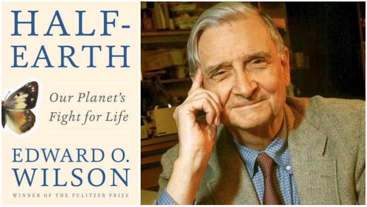 ElliotNewton90's tweet photo. The only hope for the species still living, is a human effort commensurate with magnitude of the problem" one of my favourite quotes from @EOWilsonFndtn #HalfEarth. He has an optimistic conclusion, can we find the space needed to reverse #the6thmassextinction & #climatebreakdown? https://t.co/MG4GSw628b
