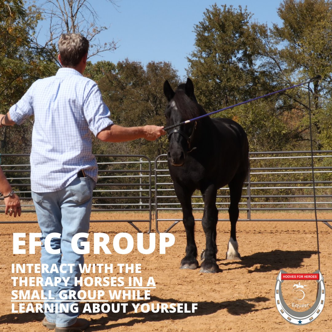 We're excited to announce the start of an Equine Facilitated Counseling small group for veterans with Post-Traumatic Stress. The group will meet each Wednesday from 1-2:30 for eight weeks. Learn more at equest.org/events
