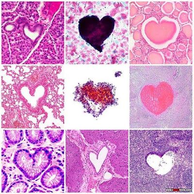 Happy Valentine’s Day my love <a href="/MollyHooperX/">Miss Molly Hooper (RP)</a>