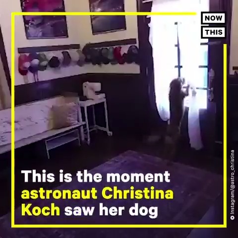 NowThis on Twitter