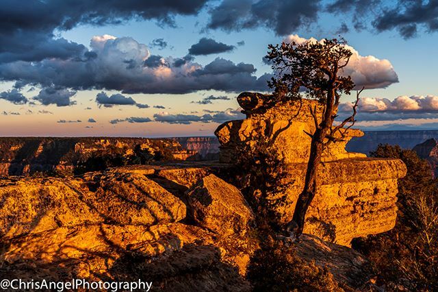 Sunset After the Rain
Grand Canyon National Park, North Rim, Arizona
.
#travelarizona #photography #travelstagram #explorearizona #travels #adventures #IGSouthwest #nationalparkgeek #natureaddict #Arizona #adventures #nature #naturephotography #travelsta… ift.tt/2vvwcoq