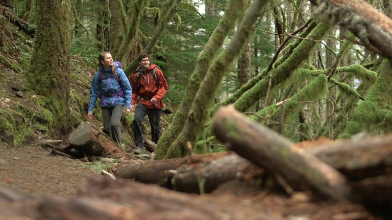 Conserving the Places That Benefit Us All: An Interview with Joanna Nelson de Flores of <a href="/ForterraNW/">Forterra</a> - Young Professionals of Seattle youngprofessionalsofseattle.com/forterra-inter… via @YP_Impact
#YPImpact #environment #landconservation <a href="/greenseattle/">Green Seattle Partnership</a>