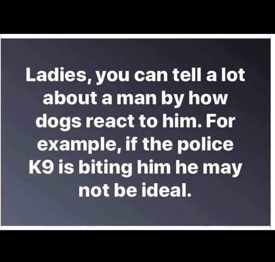 LadyCop346 tweet media