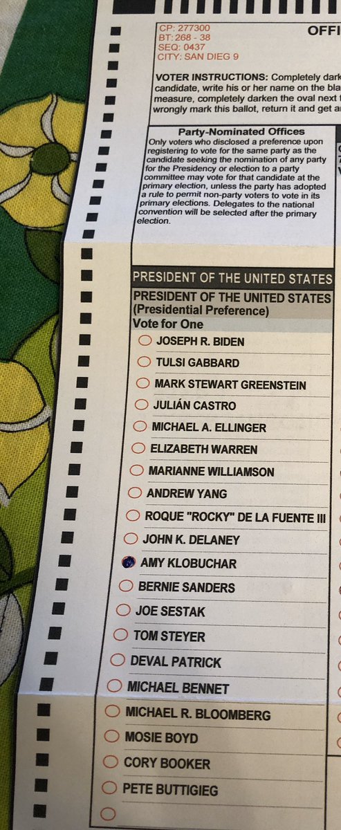 Mo2lyric's tweet photo. @amyklobuchar So excited and full of hope as I cast this vote! Go Amy! https://t.co/vAbMcoCQYh