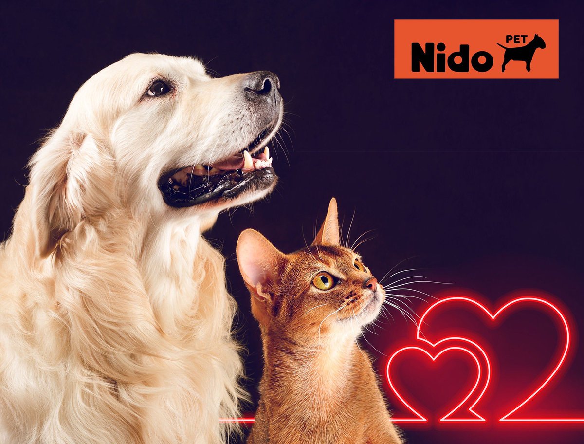 nidopet tweet media