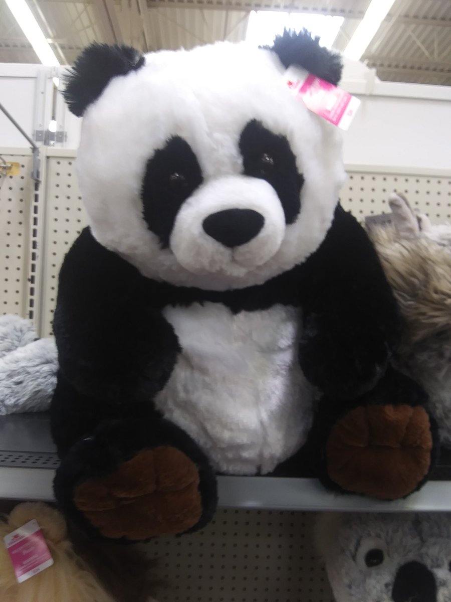vamgoth666's tweet photo. hello my panda bear friend 🐼 🐼 🐼 https://t.co/QztdC6jcnY