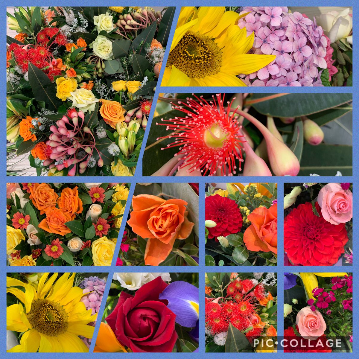 kelloveslife tweet media