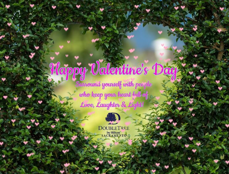 DoubleTreeSac's tweet image. ❤️ ♥️ Happy Valentine’s Day ♥️ ❤️

#Valentines #Hearts #Love #Friendship #Family #LiveLoveLaugh #LoveDay #HeartDay #ValentinesDay2020 #LoveIsInTheAir #DayOfLove #StValentine #MyValentine #❤️ #♥️