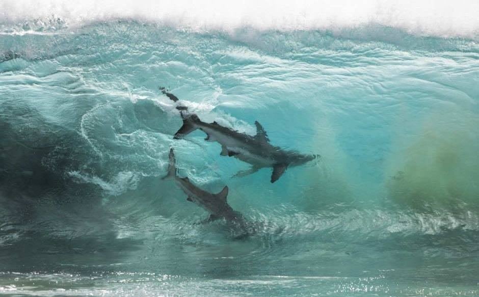 Yoshlar bilan porno jinsiy aloqa