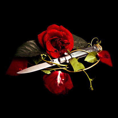 Dr. Hannibal Lecter (@lionintheroom) on Twitter photo 