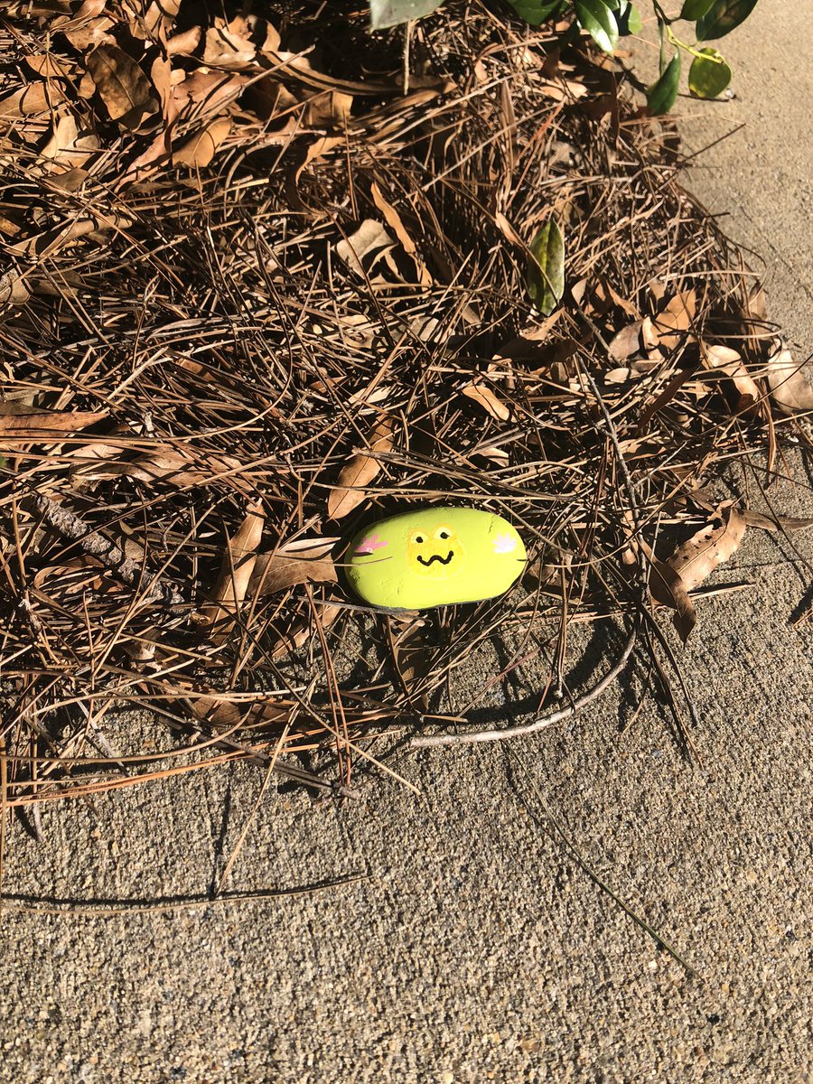 We had fun painting rocks today. A little orange frog is waiting for a friend at Lekotek in Kennesaw. #happyatbsi