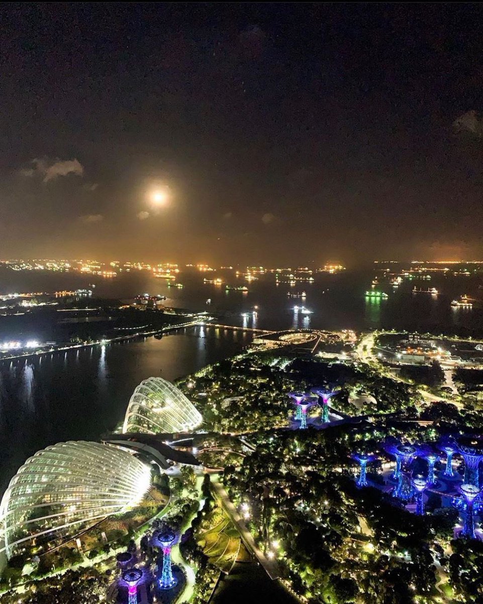 dadoss1's tweet image. 