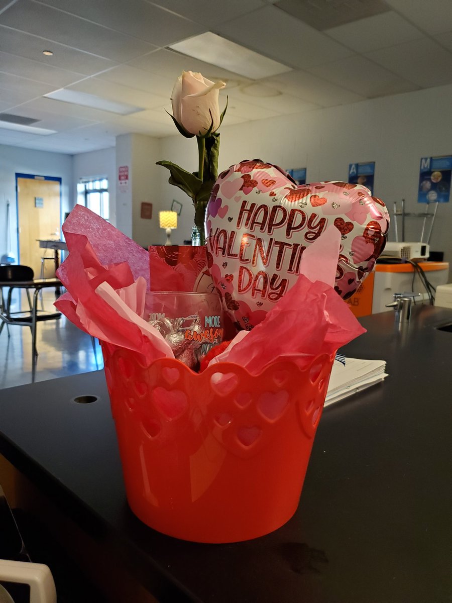 mrsjtscience's tweet photo. I loved my unexpected treats &amp; gifts today! #STEMFCPS @EJHSBulldogCtry #valintinesday https://t.co/FsnKhlXgHf