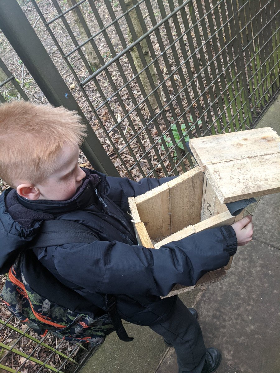 BirklandsClass's tweet photo. These bird boxes were completed using recycled materials including a rubber hinge for the roof! @FHTDesignTech https://t.co/gxd7PQmlOP