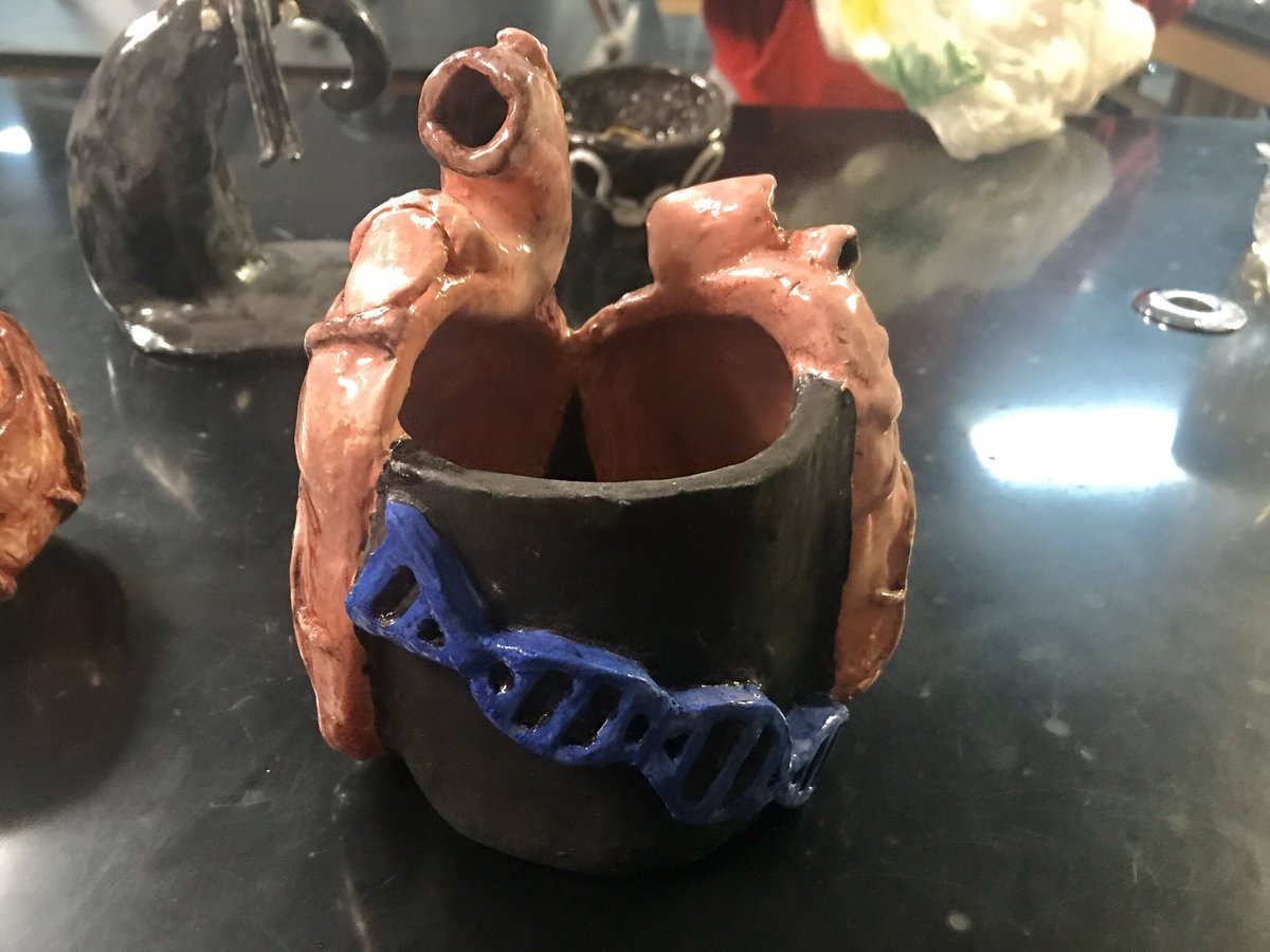 Debbie Cox (@coxvhsci) on Twitter photo Awesome ceramic artwork by one of our 3rd-level <a href="/HOSA_VANHORN/">Van Horn HOSA Biomed</a> biomed students — likely influenced by her <a href="/PLTWorg/">Project Lead The Way</a> biomed class dissections in PBS (heart) & HBS (eye)! I think we need an ear in honor of MI this year! #isdstrong #vhfalcons <a href="/vanhorn_falcons/">Van Horn High School</a> <a href="/VHSTEM/">VH STEM Academy</a> <a href="/ISDAcademies/">ISD Academies</a> Awesome ceramic artwork by one of our 3rd-level <a href="/HOSA_VANHORN/">Van Horn HOSA Biomed</a> biomed students — likely influenced by her <a href="/PLTWorg/">Project Lead The Way</a> biomed class dissections in PBS (heart) & HBS (eye)! I think we need an ear in honor of MI this year! #isdstrong #vhfalcons <a href="/vanhorn_falcons/">Van Horn High School</a> <a href="/VHSTEM/">VH STEM Academy</a> <a href="/ISDAcademies/">ISD Academies</a>