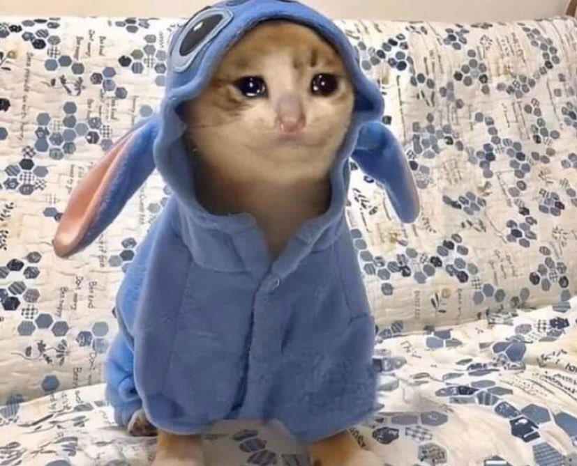 Ah_i1's tweet photo. خلوني ساكت بس وقفوا حسابي الأصلي https://t.co/MgTphhkEhD
