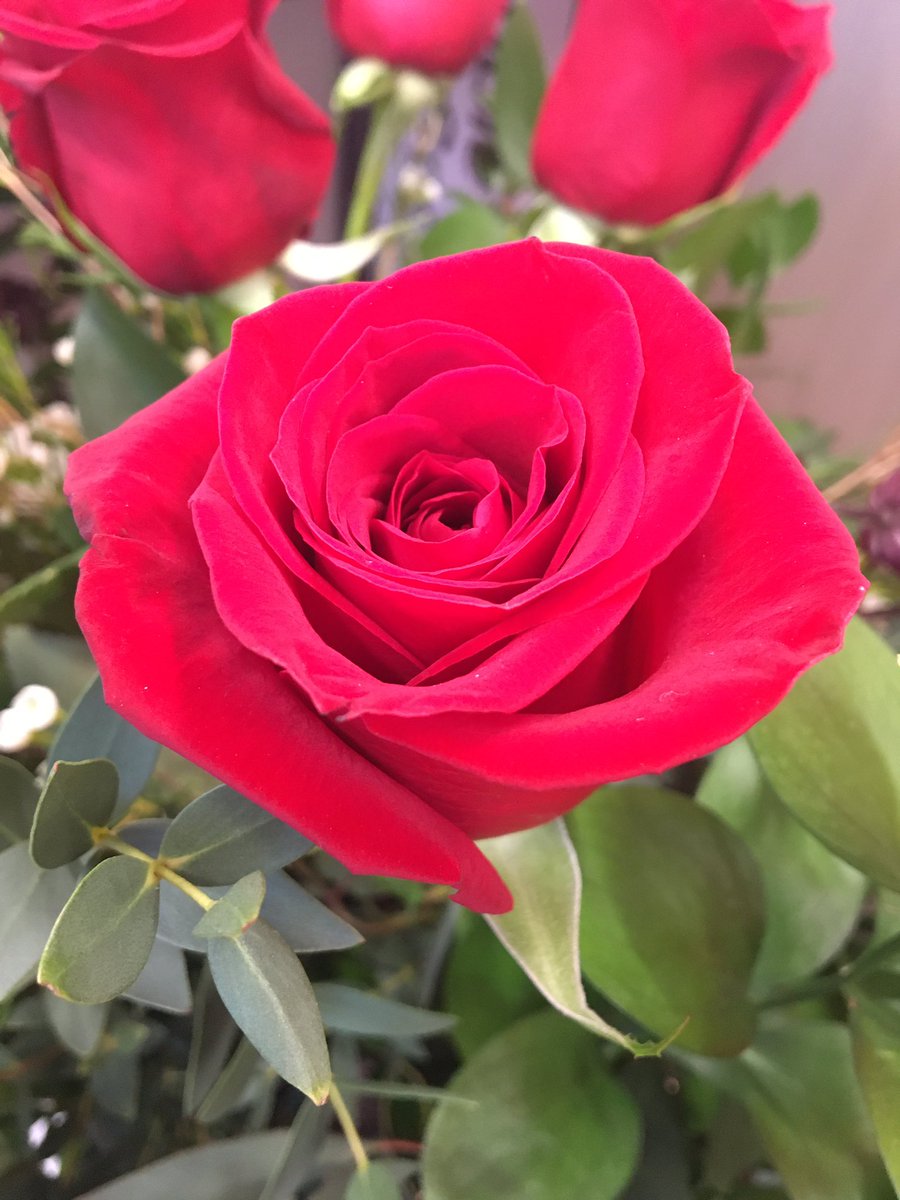 Maggie Target tweet media