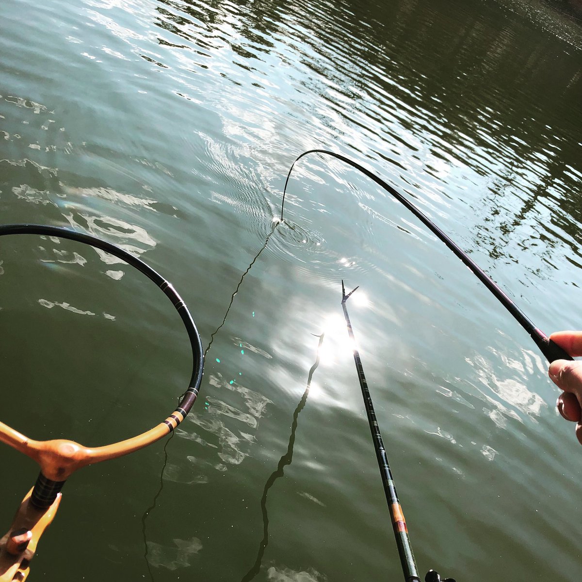 Twitter இல 土屋ナオト 最近チョウチンセットが好きになりつつ 色んな釣りを楽しもう 낚시 ประมง 釣魚 Hera Herabuna 釣り 釣 ヘラブナ へらぶな へら釣り がまかつ Gamakatsu サンライン Sunline マルキュー Marukyu Fish Fishing