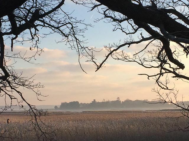 Exoticgardenco's tweet photo. Ancient oaks in the #AldeValley frames #IkenChurch. #SOSestuary, #Aldeburgh, #Orford, #Snape,#RiverAlde, #StBotolphChurch, #AONB, #suffolksandlings, #suffolk. https://t.co/IpxHl7s9tD https://t.co/pH7bcllJSL