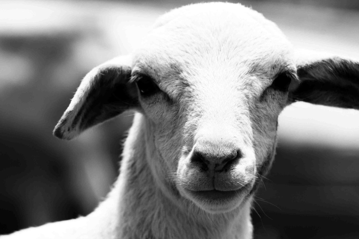 "We have the world to live in on the condition that we will take good care of it. And to take good care of it, we have to know it. And to know it and to be willing to take care of it, we have to love it." - Wendell Berry 💘