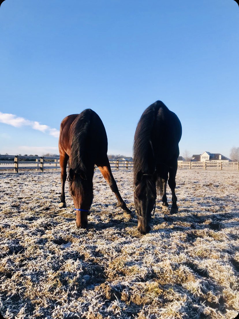 StohlerRacing's tweet photo. 💙💙 HAPPY VALENTINES DAY 💙💙 https://t.co/qZmBM2HJKa