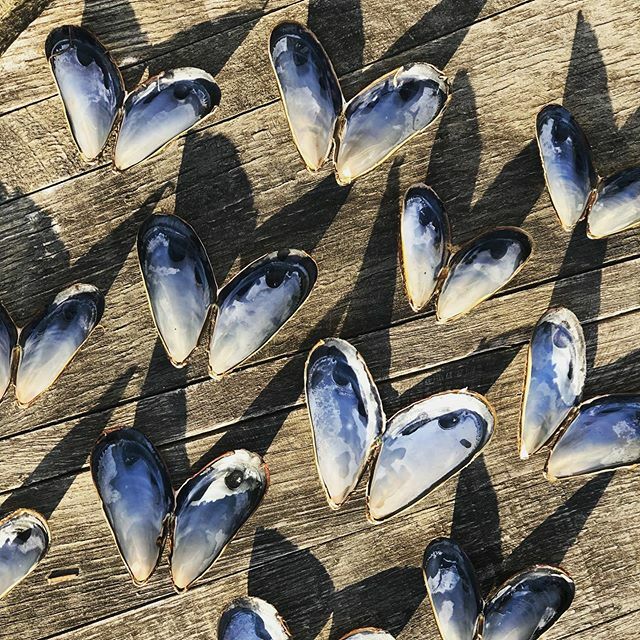 Happy Valentines Day, with love from us to you 💟  We are still accepting walk-ins tonight 💟
.
.
.
.
.
.
.
.
.
#republic #takomapark #valentines #mussels #addiesmussels #love #allyouneedislove #loveisallyouneed