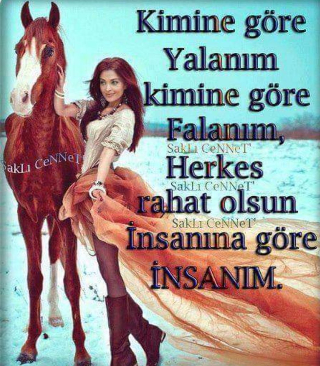 Seçici (@seici11) on Twitter photo 