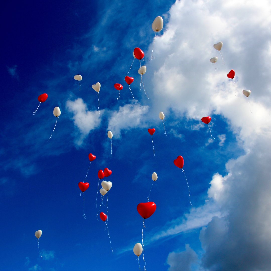 Go tell someone you love them! Happy #ValentinesDay 😍