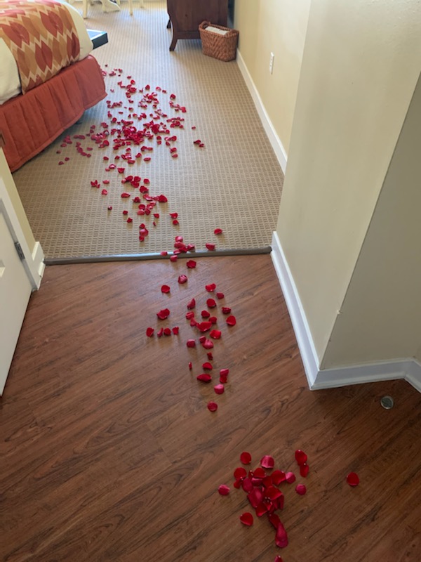 EmbSan Member Reception Team tweet media