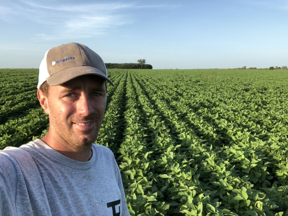 julianimhoff's tweet photo. Otra campaña más controlando chinches con Engeo, con su poder de volteo y persistencia yo a las chinches las cuento muertas 😉.
#UsoEngeo @Syngenta_ar https://t.co/I0bTGj8D6N
