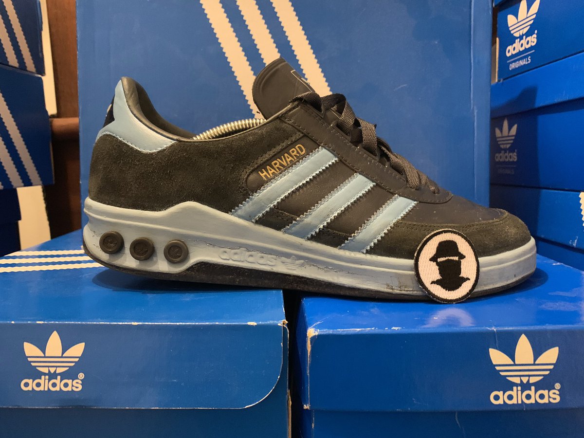 adidas harvard