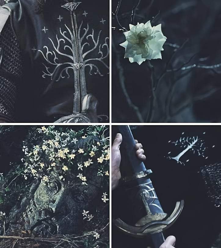 DreadfulRule's tweet image. ◤————༺♦︎༻————◥
➣Ꮮɪᴛᴇʀᴀᴛᴇ &amp;amp; Ꭰᴇᴛᴀɪʟᴇᴅ.
➣ᴄʀᴏssᴏᴠᴇʀ ғʀɪᴇɴᴅʟʏ.
➣sʜɪᴘs ᴡ/ ᴄʜᴇᴍ.
➣sᴇʀɪᴏᴜs┆ɴᴏɴ.
➣ʀᴛs ᴀᴘᴘʀᴇᴄɪᴀᴛᴇᴅ
◣————༺♦︎༻————◢