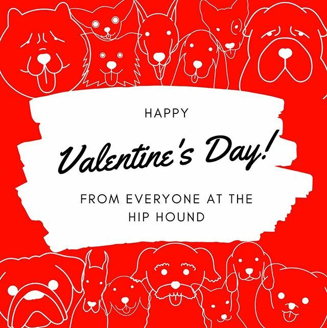 We wish every person, dog, cat, and animal a Happy Valentines Day! We LOVE LOVE LOVE what we do and cherish every customer that makes it possible. Give your pets a little extra love today! 💘
.
.
.
#portlandoregon #portland #pdx #pnw #dogsofinstagram #dogsofinsta #doglover #p…