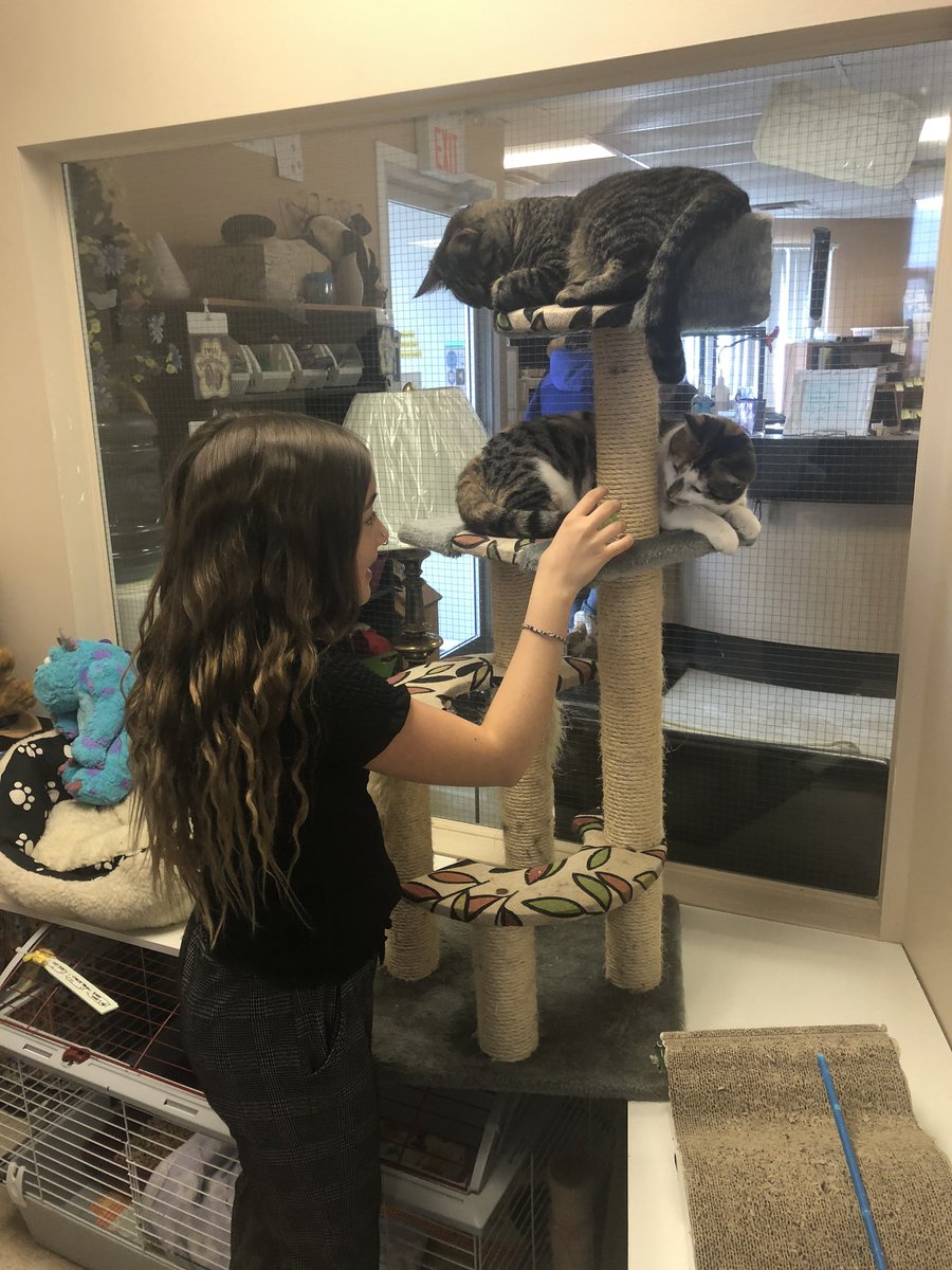 Sara Kloot tweet media