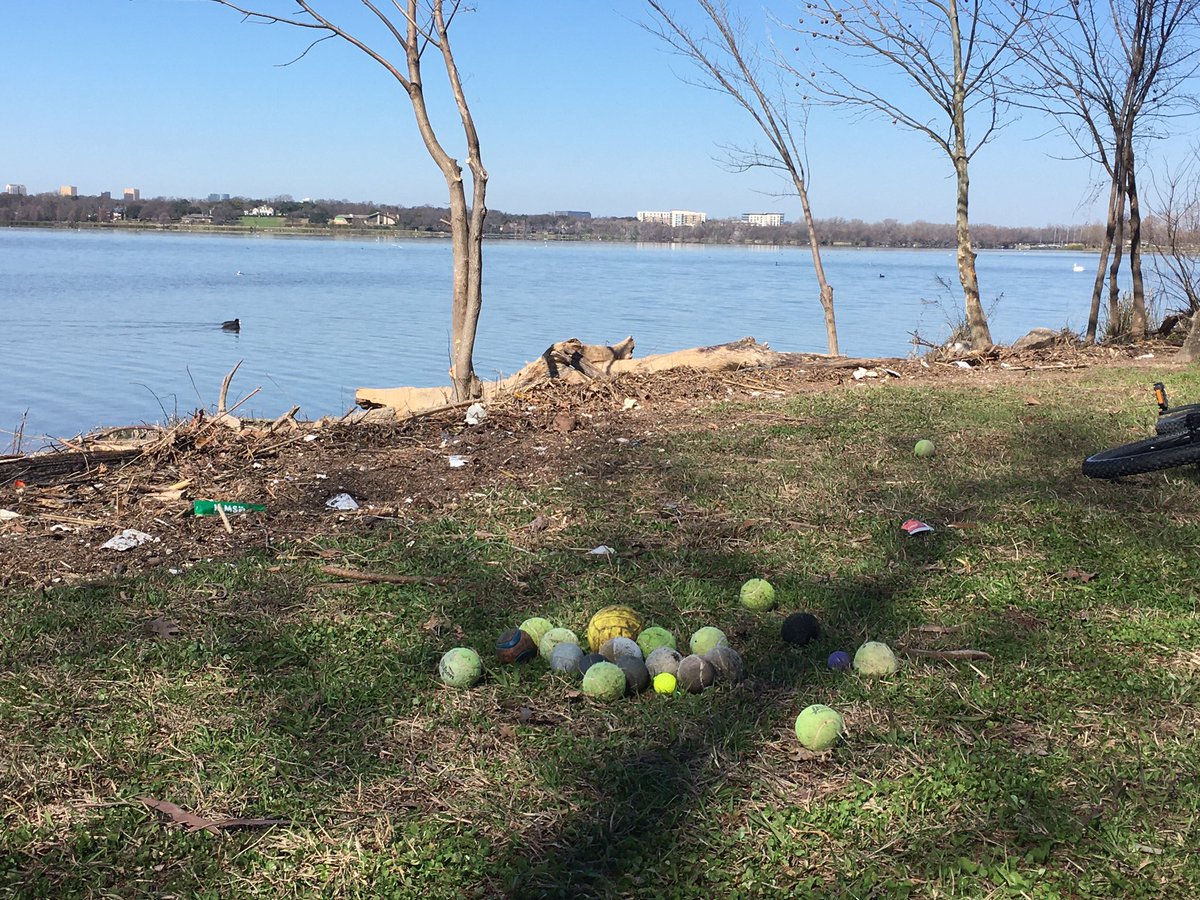 Deep9woods's tweet photo. Shout out to whomever pulled all the balls from the ruble that washed ashore at WRL in the recent Dallas storm and piled them togeather in stacks along the shore.
My dogs were in โballโ heaven.
#manyChoices #HappyDogs
#whichOneShallIChoose #WhiteRockLake #Dallas https://t.co/j9jpkT6Gks