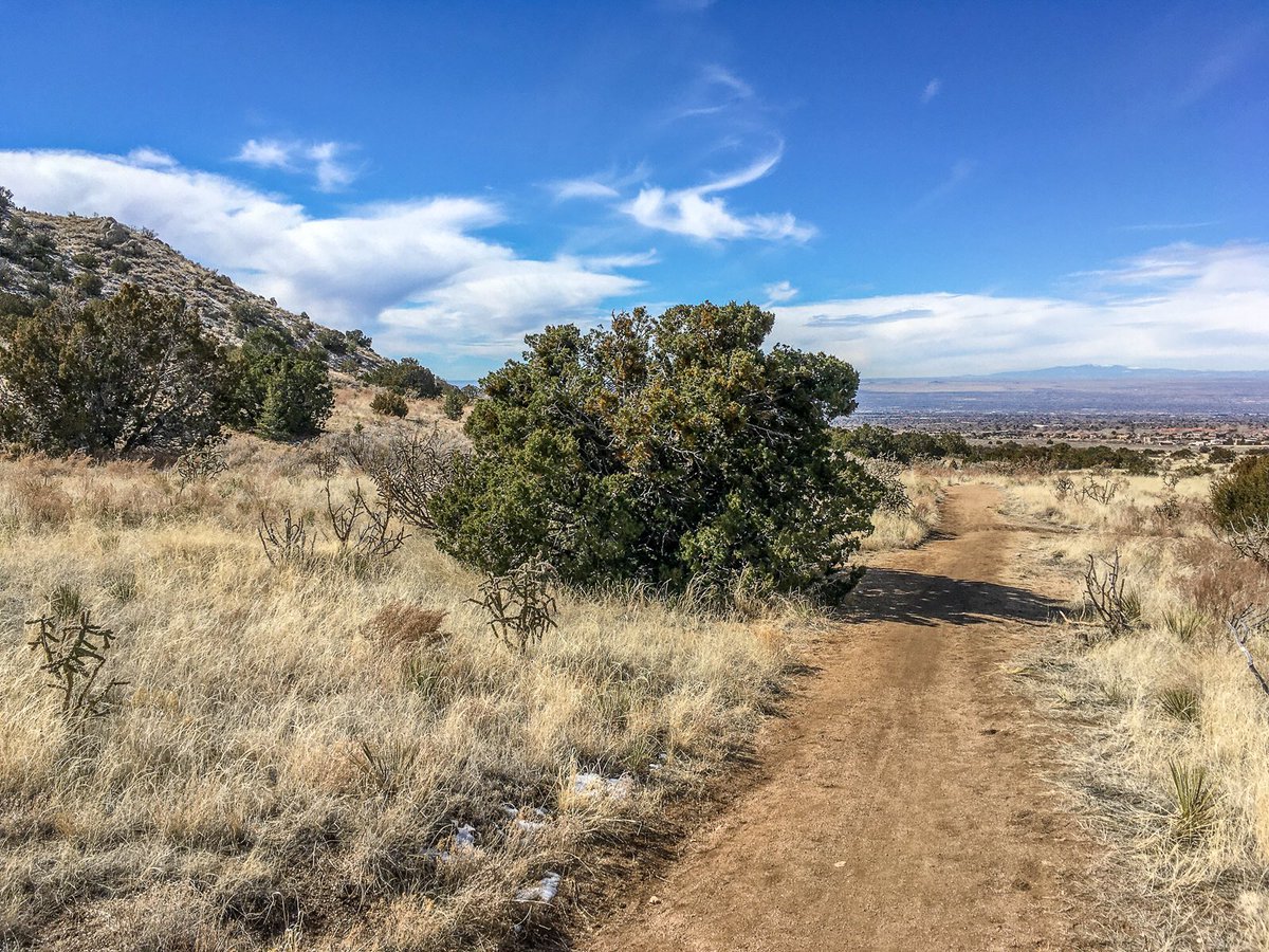 Michael Scott tweet media