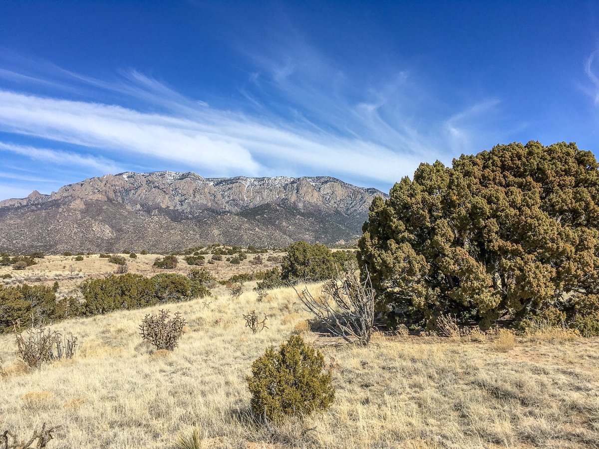 Michael Scott tweet media