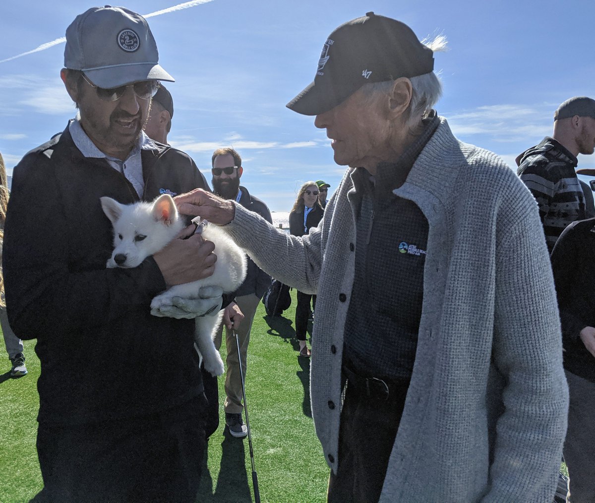 SPCA Monterey County på Twitter: "Guess who is available for adoption? not Ray Romano Clint Eastwood...it's Odie! this celebrity-magnet puppy today at the SPCA! #attproam #golfdogs… https://t.co/HxhdHmatjI"