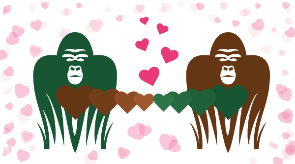 Jungle Software tweet media