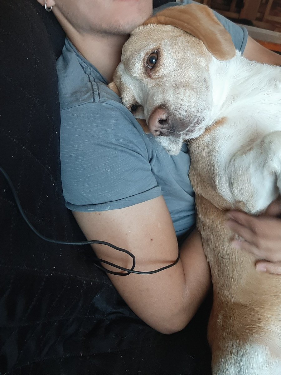 Happy valentine day 💜🐶😊