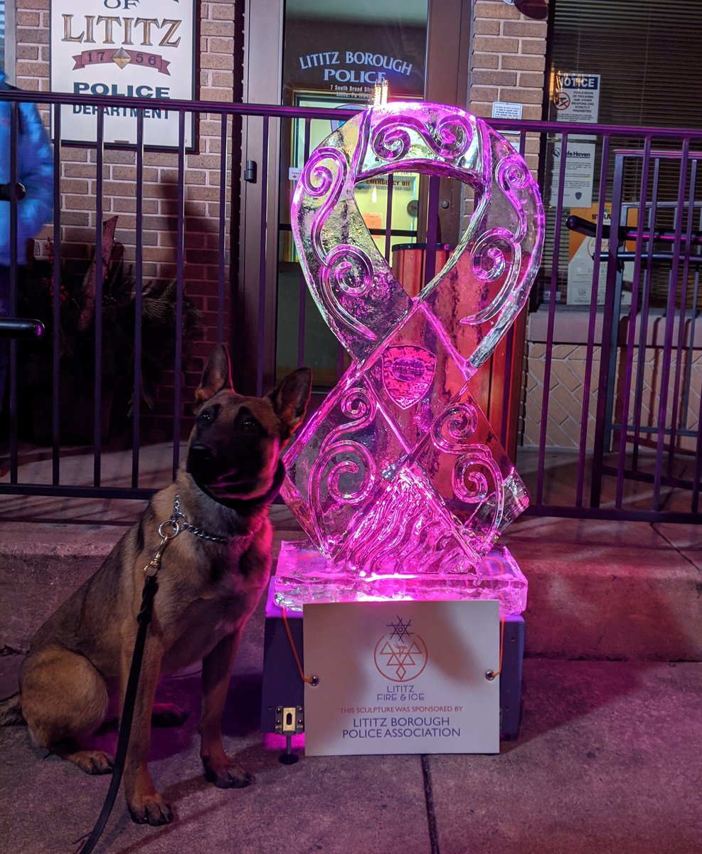 LititzPolice's tweet photo. Lots of COOL happenings at the #LititzFireandIce festival 🔥🧊 https://t.co/sCjomjD9bM