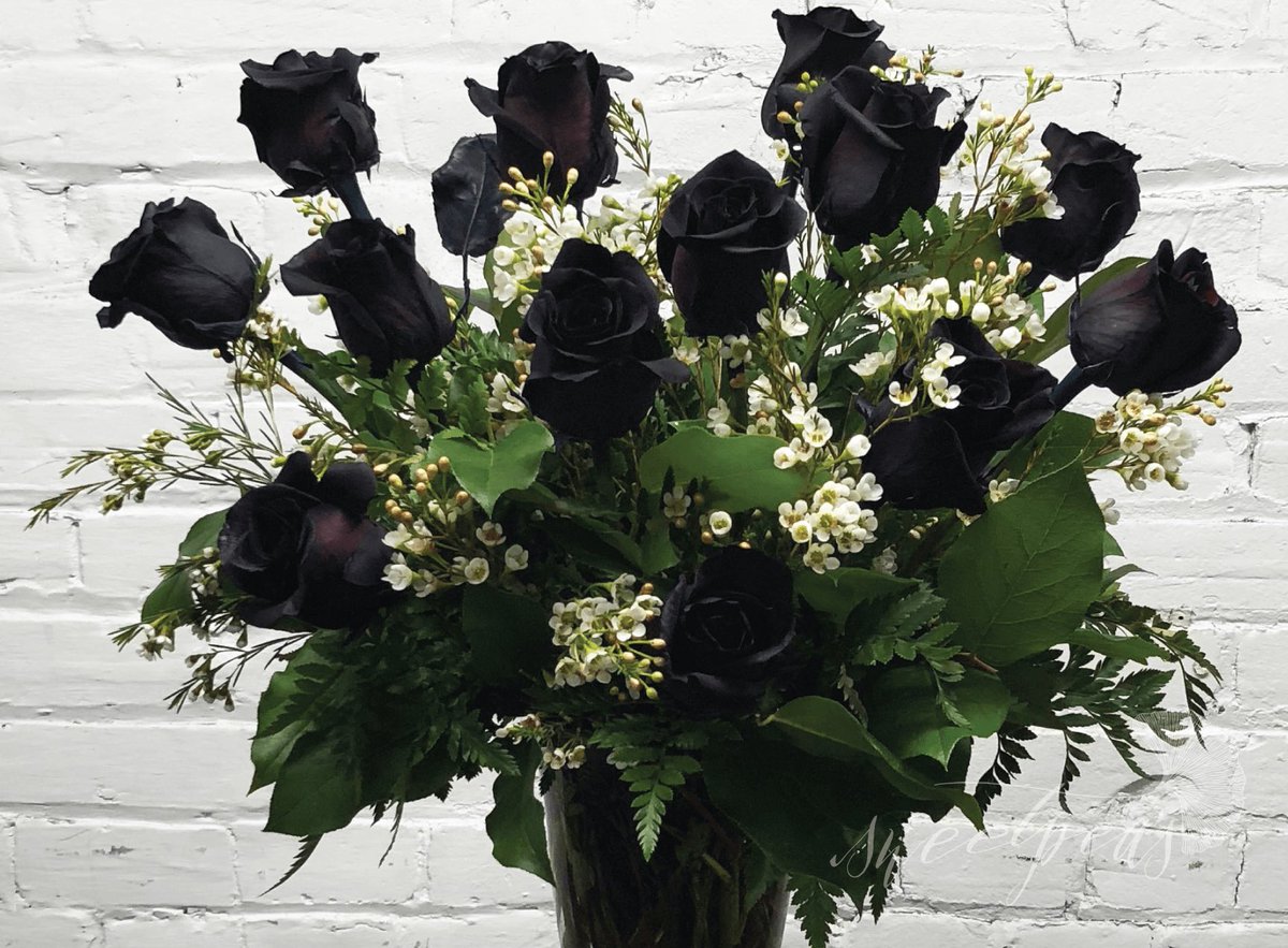 Him? Having a bouquet of roses delivered to <a href="/SHESACOOLGlRL/">𝑨𝑵𝑵𝑨𝑩𝑬𝑳𝑳𝑬 𝑫𝑼𝑵𝑵𝑬</a>’s desk after class? Pshhh, couldn’t be him.