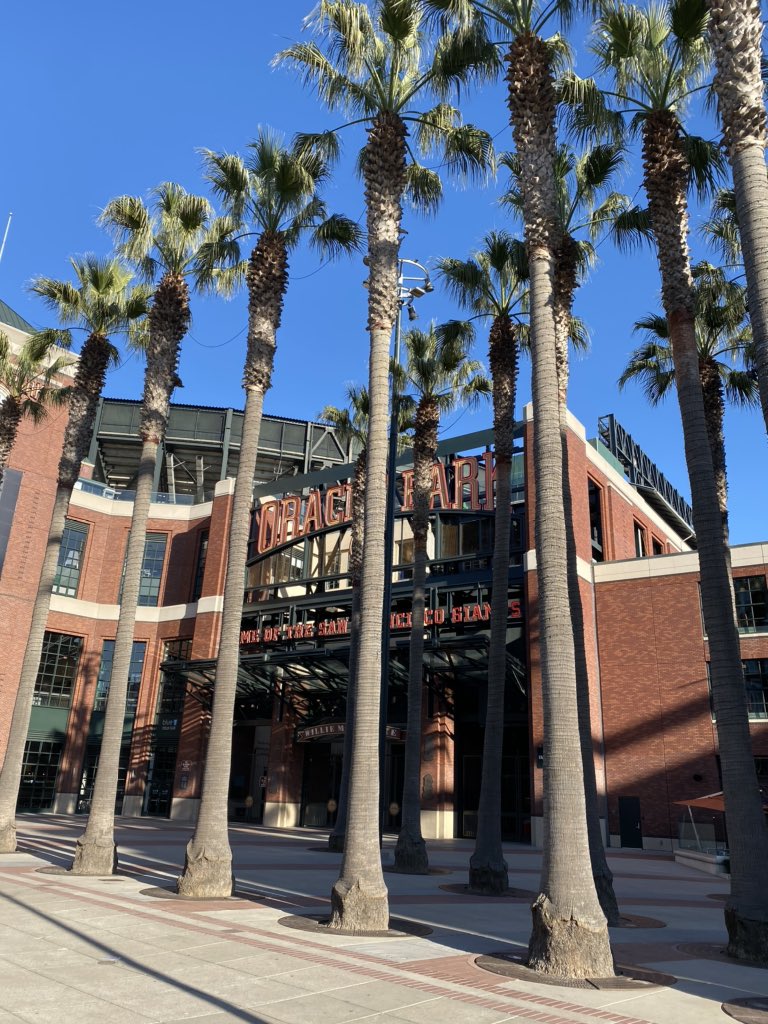 Deleted <a href="/instagram/">Instagram</a> last week.
Took this photo and uploaded it to <a href="/Twitter/">Twitter</a> today.
Life is a roller coaster.
Ride it.