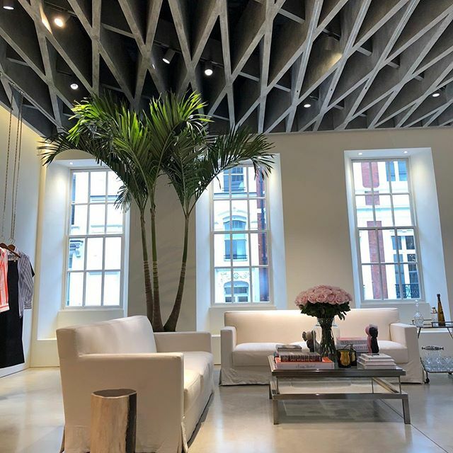 treesourceco's tweet image. install of 3 stem #veitchiamerrilii at Victoria Beckham store, Dover street  London #indoortrees #interiorlandscaping #londonplants ift.tt/39EwhFd