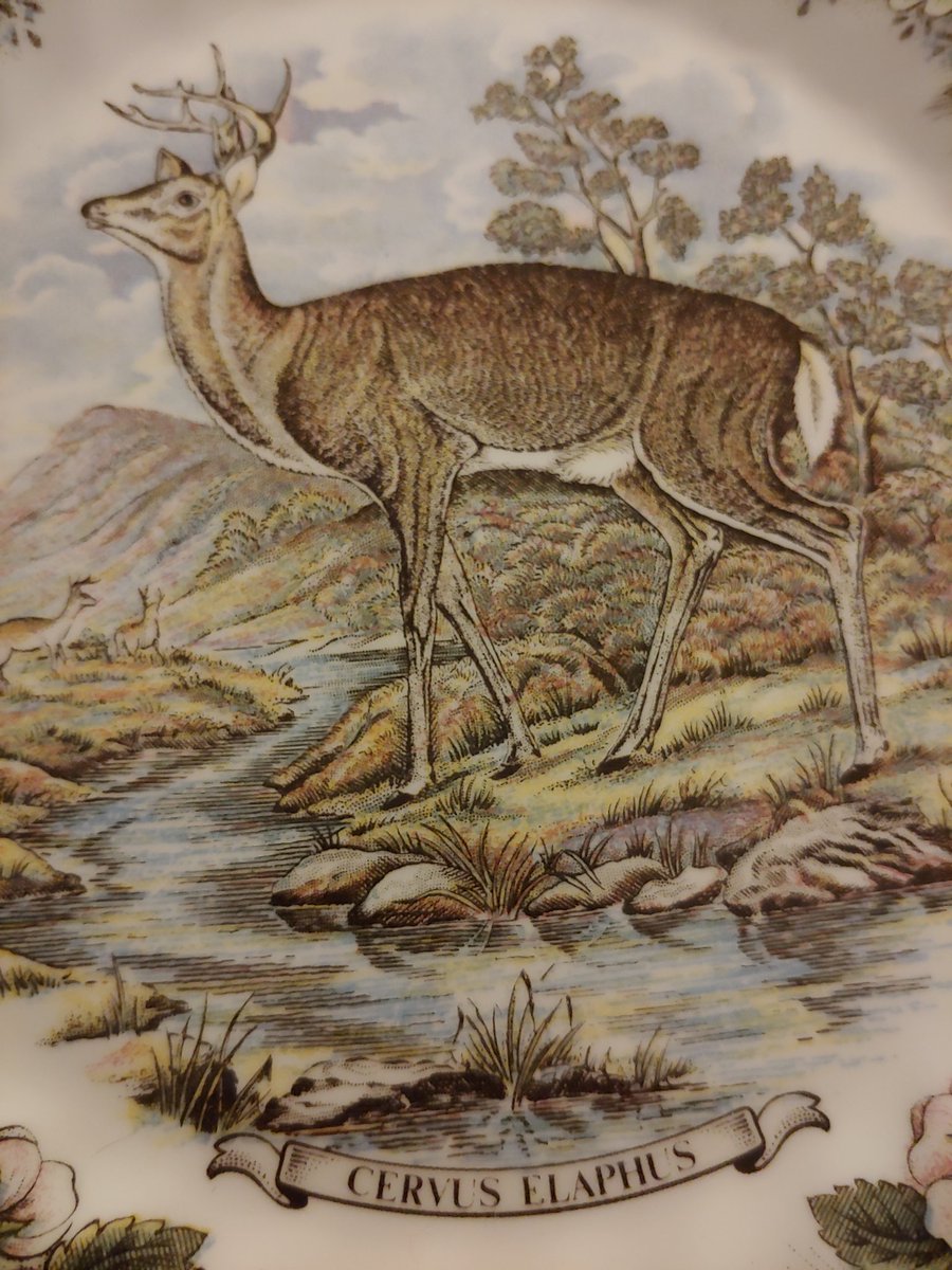 O_Transferware's tweet image. 