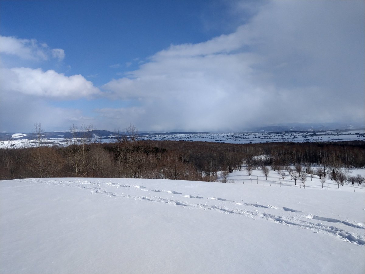 パレットヒルズ