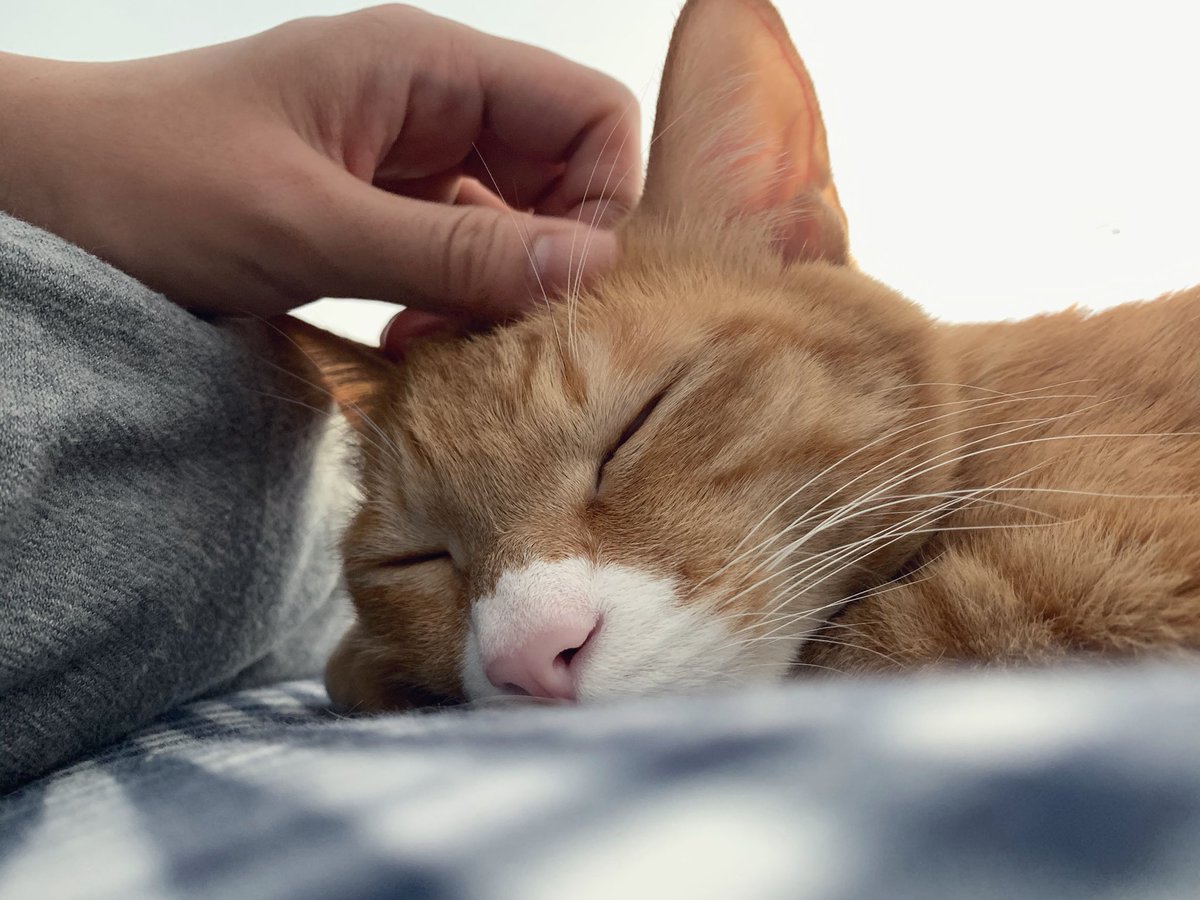 이ㅇ (@yeeeeesleeeee) on Twitter photo 