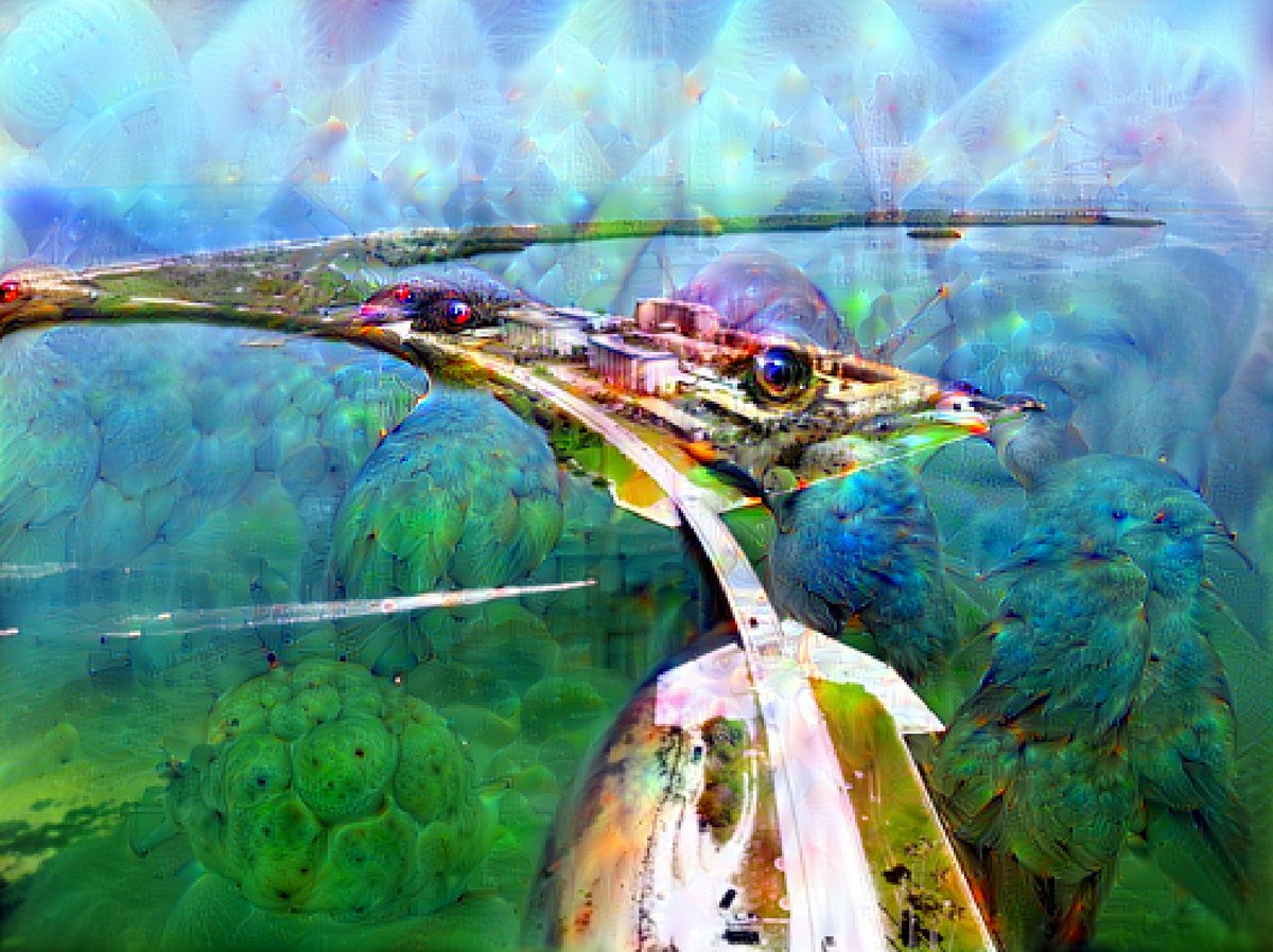 fetchdeepdream's tweet image. #DeepDream #DeepDreamGallery
#Pytorch #Digitalart 
#nature  aerial photo of island during daytime