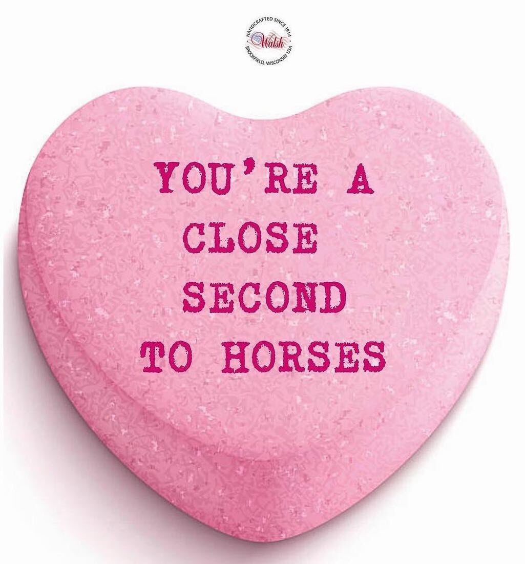CBabcock13's tweet photo. I donβt have a human valentine this year but Iβm pretty sure this is the candy heart theyβd be getting if I did #probablywhyIamsingle #ohwell #Ilovehorses π
https://t.co/wjKrDznhSk